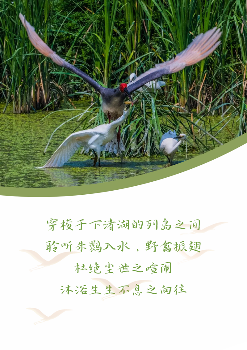 心心念廿 相伴AG刮刮乐 | 与德清相约 贺廿载诞辰